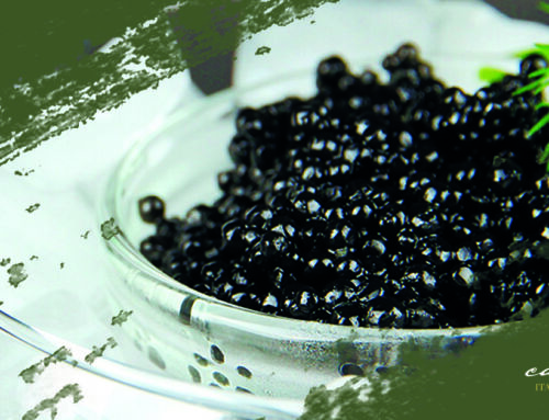 Ristorante da Giovannino sceglie Canaletto Caviar